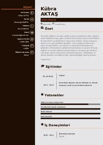 Çocuk Bakıcısı CV Örnekleri cv indir